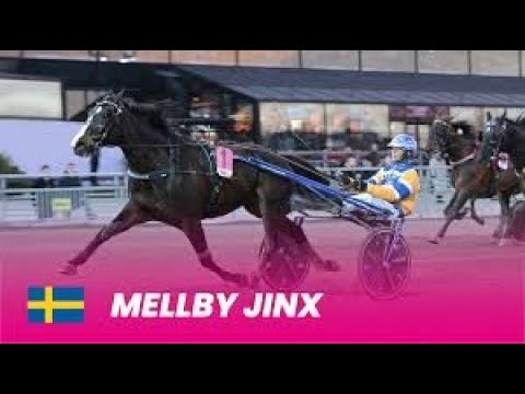 Elitloppet 25 Heat 1 Elimination Solvalla Sweden : Melby Jinx SWE (1:08:8)