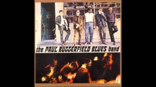 The Paul Butterfield Blues Band - Screamin'
