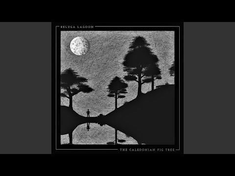Creature - Beluga Lagoon