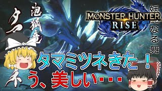 【MHR】ぼっちハンターがいくモンハンライズ！【ゆっくり実況】part22