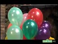 Sesame Street Stinkys Annual Birthday Flower