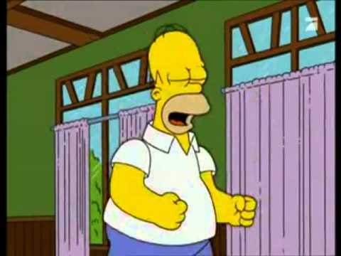 Homer schlau wie ein Delphin