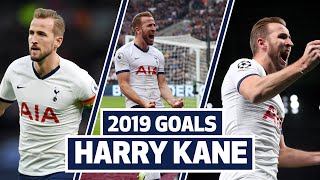 ALL OF HARRY KANE’S 2019 SPURS GOALS!