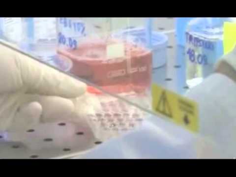 ONDA TG 30.10.2013 - CAMPAGNA ANTINFLUENZALE ASL SULMONA