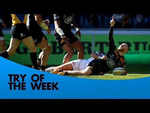 Citizen Try of the Week - Round 20 - Joseph, Walker, Simpson, Twelvetrees & Arscott