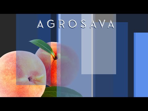 Ovakva ZAŠTITA BRESKVE I NEKTARINE sigurno sprečava gubitke