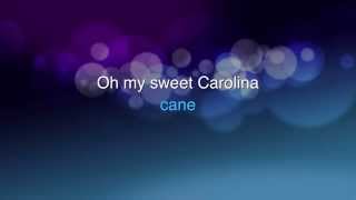 Ryan Adams - Oh My Sweet Carolina Karaoke