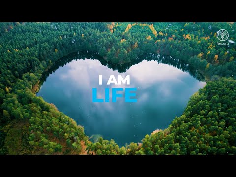 Water is life, water is food