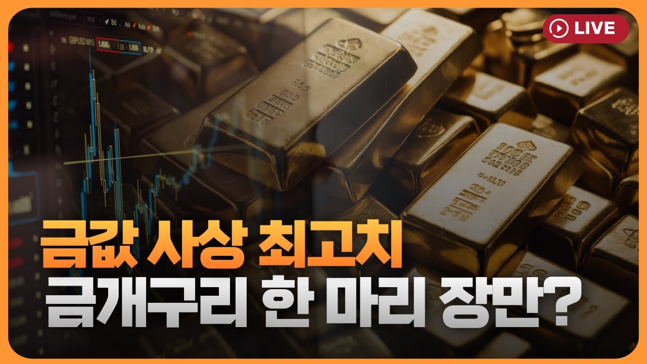 금값 사상 최고치...금개구리 한 마리 장만해야 하나요 [330온에어]