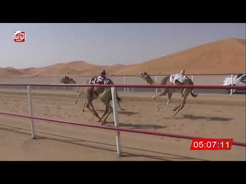 ش 6 (غزر) لـ محمد سعيد عامر العويسي 7:55:12 ، شارة الديوان 2026/03/03 ايذاع الرقيعات