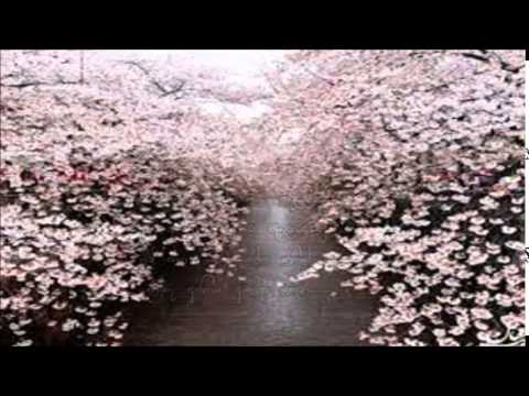 Robarosiya Mal - Iman Perera