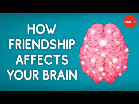 What Happens to Your Brain When You Have a Friend?