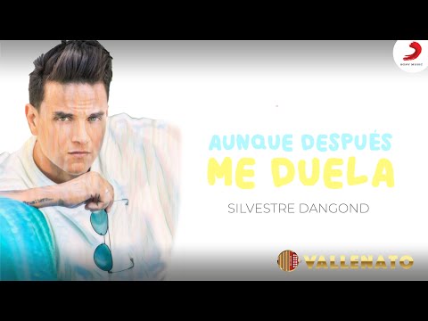 Aunque Después Me Duela, Silvestre Dangond - Letra Oficial