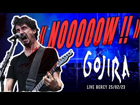 Gojira -  " NOOOWWW !! " - Relaxing moment -  Live Bercy - 25/02/2023