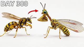 I Raised a Wasp Mantidfly as Pet