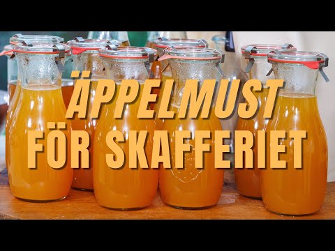 Glöm Frysen! Så gör du Äppelmust som håller 1+ år i skafferiet
