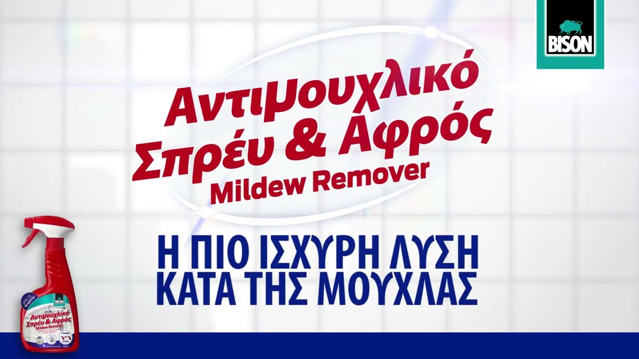 BISON MOULD PROTECTOR 500ML