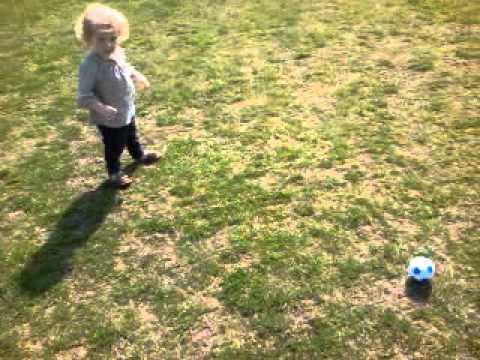 Fareham Town's  new signing