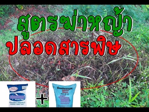 ซึ่งมีการรักษาอ่อนแอ เป็นสมาชิกของยาเพิ่มขึ้น