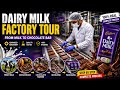 How Dairy Milk Chocolate Is Made Inside The Modern Chocolate Factory Complete Manufacturing Process