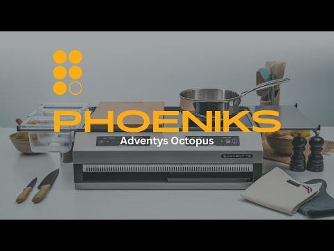 Adventys Octopus Features | Phoeniks