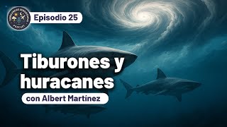 Los animales y los huracanes