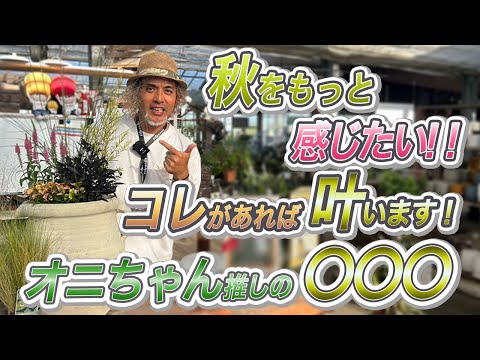 植え替え用のおしゃれなフラワーボックス ガーデンデザイン