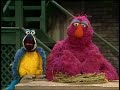Sesame Street Show 2592 Telly Hatches An Egg 1989