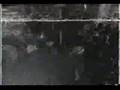 Commercial For The Flatlinerz