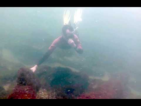 Naufragios en la Isla de la Tuna- La Paloma. Diciembre 2025.