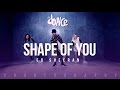 Shape of You -  Ed Sheeran - Choreography - FitDance Life