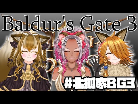 【VTuber】北狐ちろん/こども達と行くBaldur's Gate3⑪