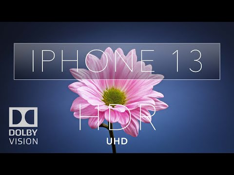 Тестирование камеры iPhone 13