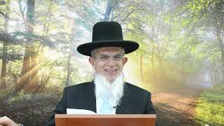 דרך השם רמח"ל I חלק ב - פרק 5, באופן ההשגחה I הרה"ג יוסף הללויה שליט"א I שיעור 112