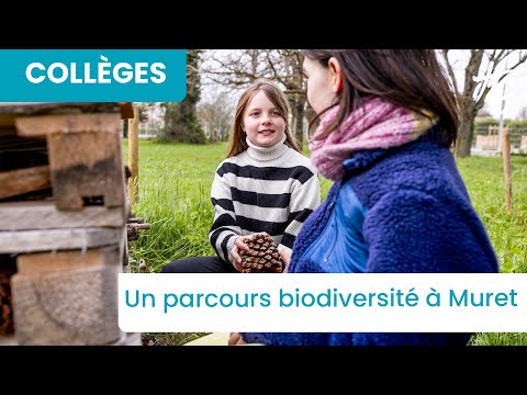Un projet pour favoriser la biodiversité au collège Bétance, à Muret