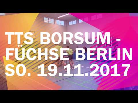 TTS Borsum - Füchse Berlin | So. 19.11.2017 - Regionalliga Nord 2017/2018