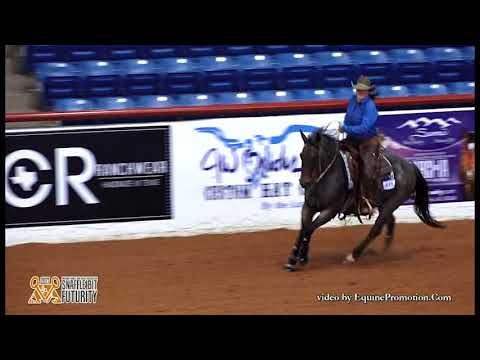 SCR Dualinforjewels & Meredith Lubbock - 2017 Snaffle Bit Futurity Ranch Heritage- Amateur Boxing