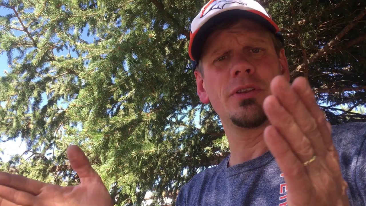 Driveway Security FAAC Gate System, Part 2