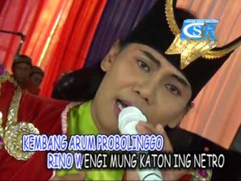 KEMBANG PROBOLINGGO // JITHUL // MUSTIKA LARAS