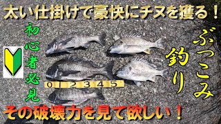   JP  Skip navigation 堤防ぶっこみ釣りでクロダイ！アオイソメで簡単に釣れる方法     Create   Avatar image 【チヌぶっこみ釣り】繊細さ不要！！太い仕掛けで大胆かつ豪快にチヌを獲れ！！