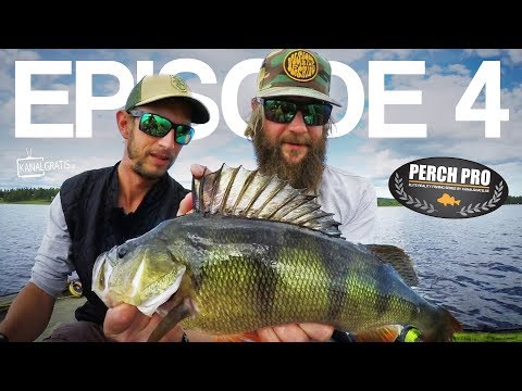 PERCH PRO 5 - Episode 4 - The Topwater War (with French & German subtitles, Polish coming soon)