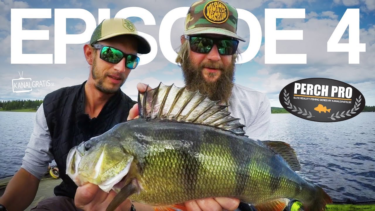 PERCH PRO 5 - Episode 4 - The Topwater War PERCH PRO 5 - Episode 4 - The Topwater War