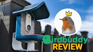 Bird Buddy Bird Feeder w/ Solar 5 months later REVIEW
