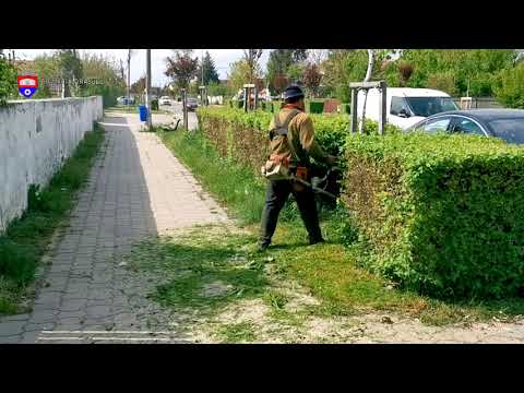 Lucrări de cosire a ierbii pe toată raza orașului Titu.