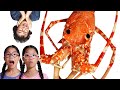 크레이피쉬 Crayfish Mukbang 먹방 TwinRooZi  할머니 Grandmother 쌍둥이루지