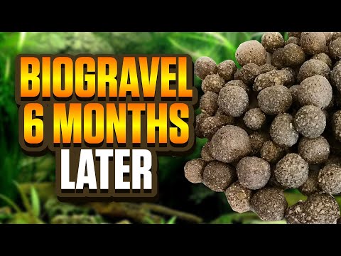 Biohome Review - Does Biogravel Actually Reduce Nitrates In An Aquarium?