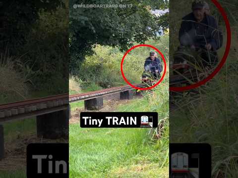 Tiny Train, Huge Power 🚉