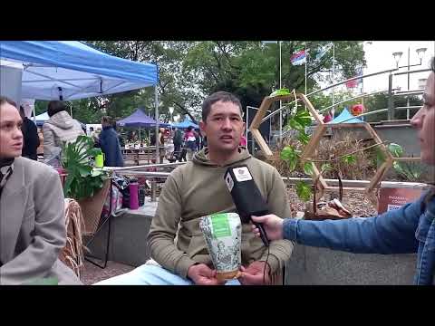 Azúcar rubio orgánica de Mojón Grande: calidad y compromiso con el medio ambiente | Misiones Cuatro