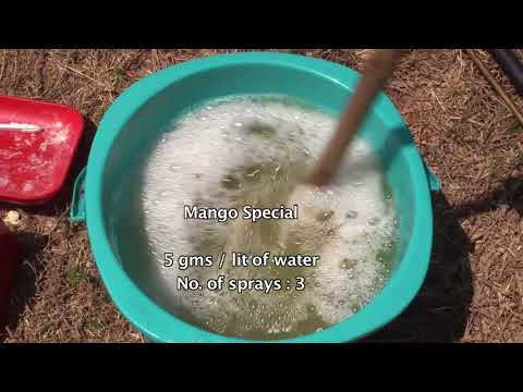 Mango Production Technologies of ICAR-IIHR Bangaluru.