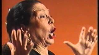 ADELA CHAQUETA - VOY A PERDER LA CABEZA
